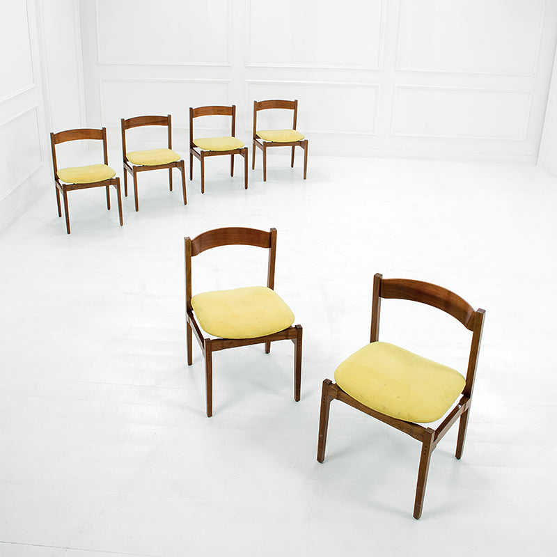 Gianfranco Frattini 6 chairs Model 101 Rosewood Cassina Italy 1970s